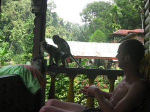 monkeyfuck-Bukit-Lawang