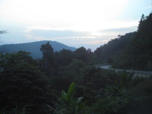 Dschungel Ranong