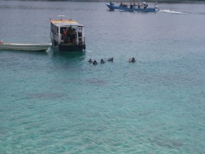 padi-Pulau-Weh