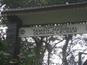 Leuser-Nationalpark-Bukit-Lawang