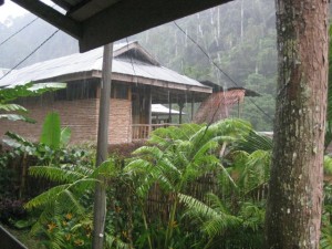 Regen-Bukit-Lawang