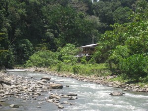 back-touch-Bukit-Lawang