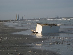 beach mamaia industrial fridge