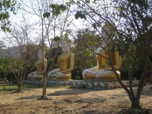 Drei goldene Buddhas