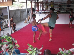 Muang-thai-trainer-hua-hin