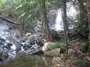 Klong Nung Waterfall